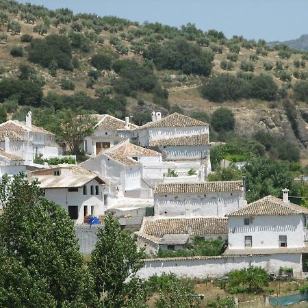 El Asno Azul Guest House Ribera Baja  Екстериор снимка