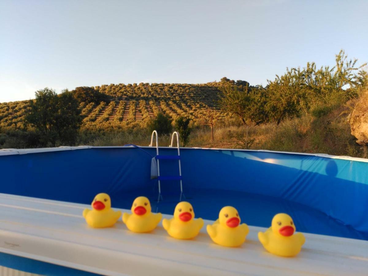 El Asno Azul Guest House Ribera Baja  Екстериор снимка